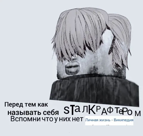 Перед тем как стать сталкрафтером