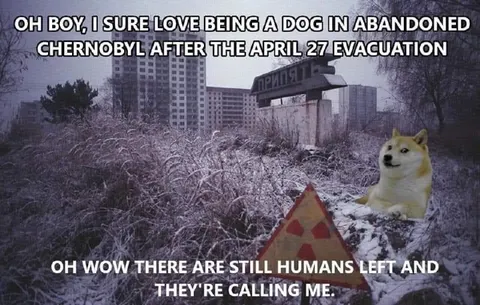 Doge in Abandoned Chernobyl