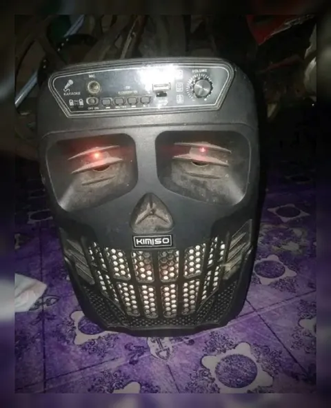 Speaker With a Face