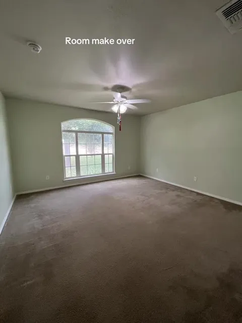 Room Makeover Cat Reveal
