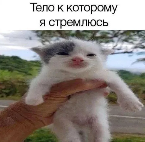 Тело, к которому я стремлюсь