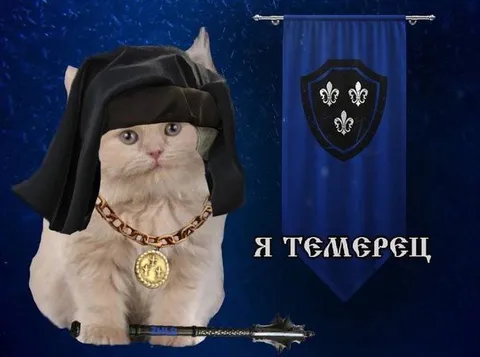 Кот-темерец с булавой