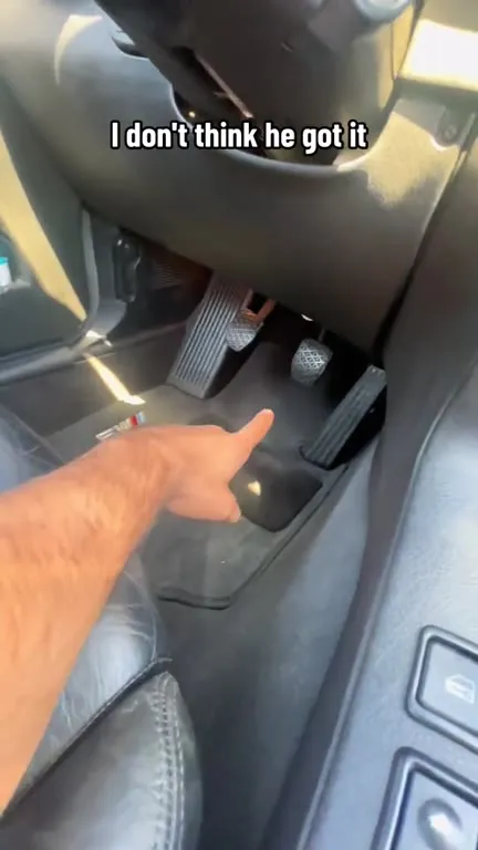 Cat Doesn't Understand Car Controls