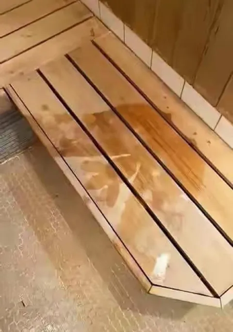 Странный деревянный гроб