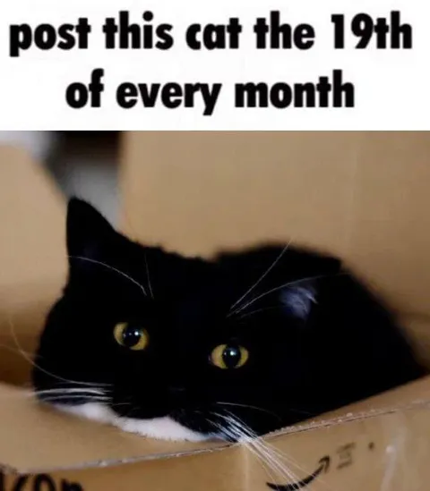 Post This Cat Every Month