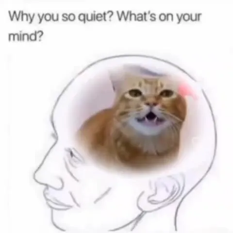 Cat Singing Inside Your Mind