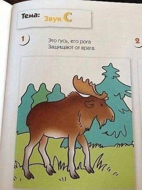 Это гусь, его рога