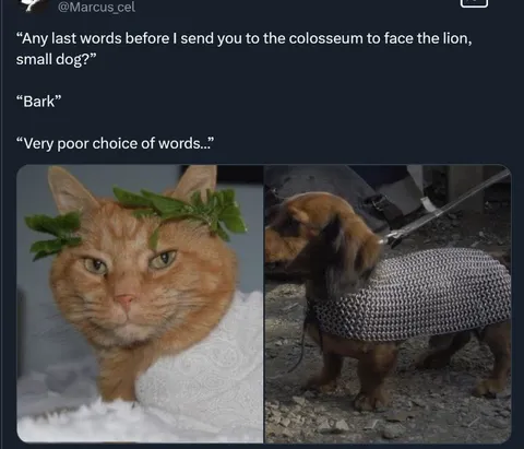 Dog's Last Words Before Battle