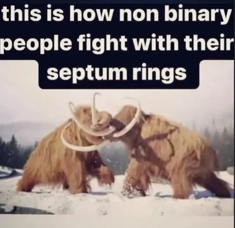 Nonbinary People Fight With Septum Rings
