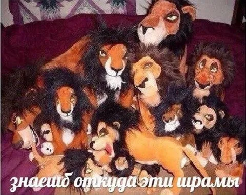 Откуда эти шрамы