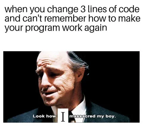 Three Lines Broke the Program