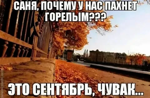 Почему пахнет горелым в сентябре