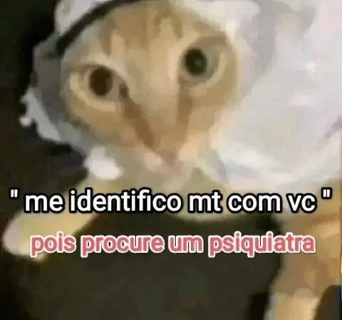 Gato se identifica demais