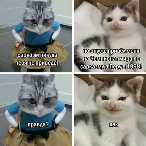 Сарказм привёл на чемпионат мира