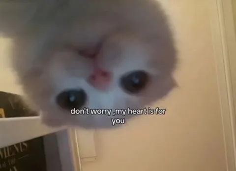 Don't Worry My Heart Is for You