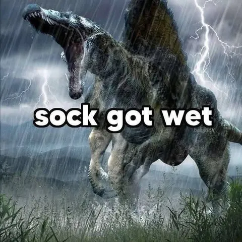 Sock Got Wet Dinosaur