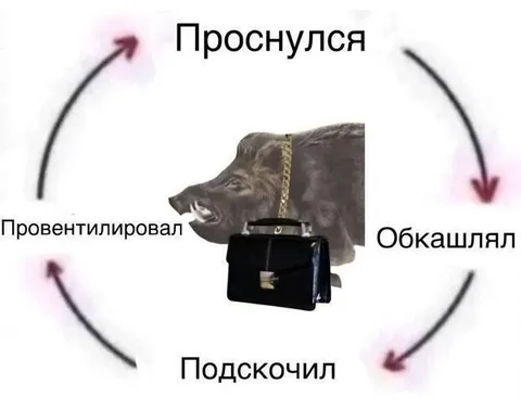 Деловой кабан проснулся