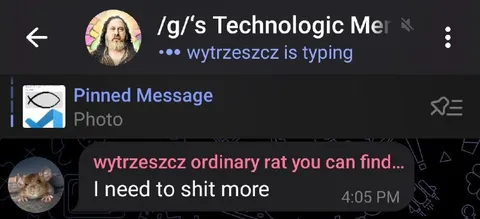 Ordinary Rat Needs to Shit