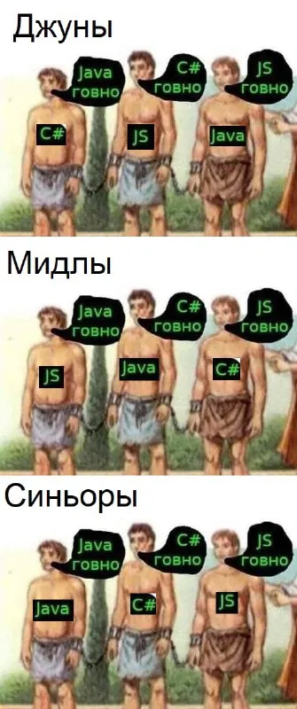 Джуны, мидлы и синьоры выбирают язык