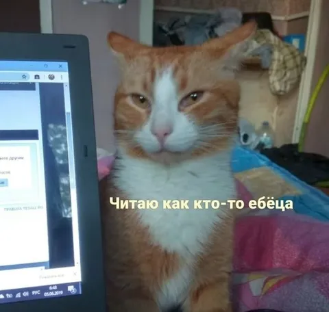 Кот читает чужую переписку