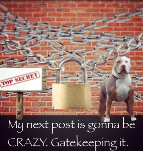 My Next Post Is Gonna Be Crazy
