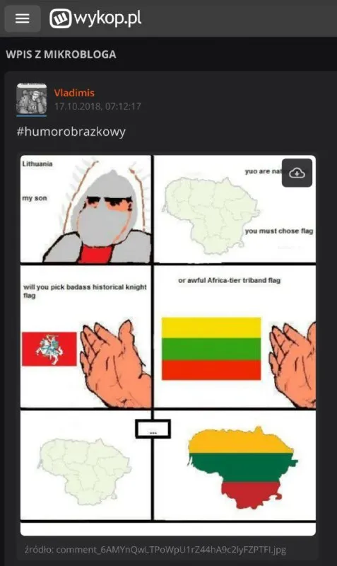 Lithuania Chooses Its Flag