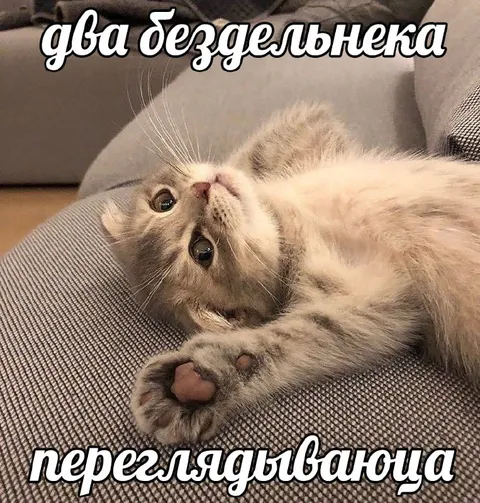 Два бездельника переглядываются
