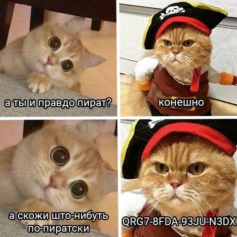 Кот просит говорить по-пиратски