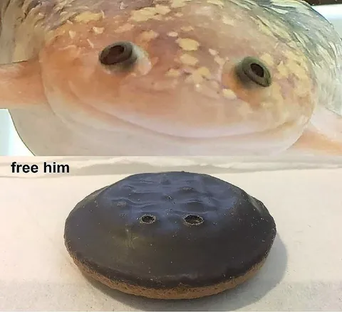 Free Him Pufferfish Donut