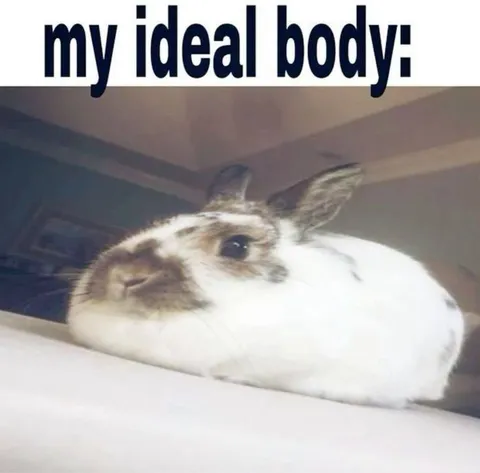 My Ideal Body Bunny