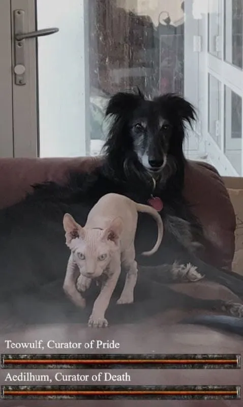 Dog and Cat Boss Fight