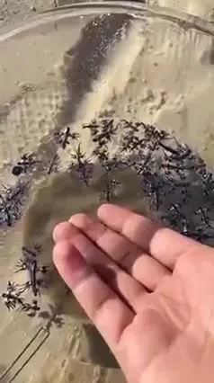 Hand in the Water