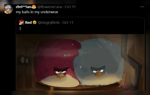 My Balls in My Underwear