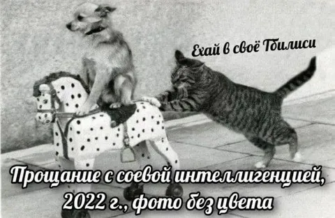 Прощание с сововой интеллигенцией