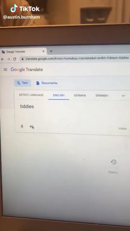 Tiddies in French
