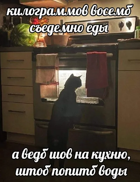 Кот пошёл попить воды