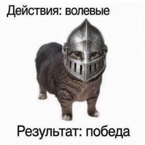 Волевые действия — победа
