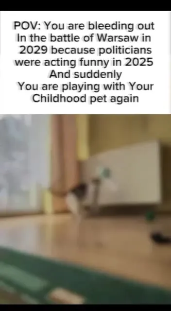 Bleeding Out, Then Playing With Your Cat