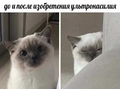 До и после ультранасилия