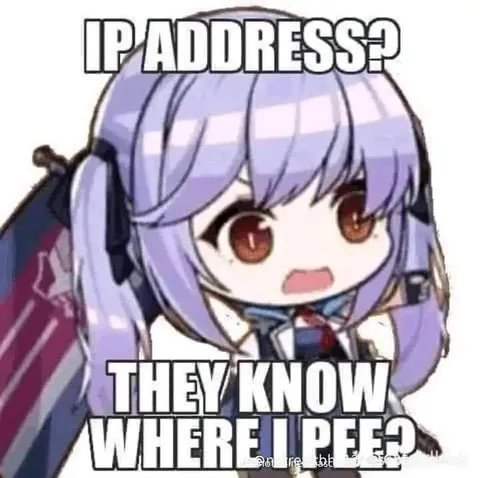 IP Address They Know Where I Pee