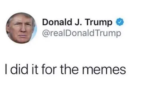I Did It for the Memes
