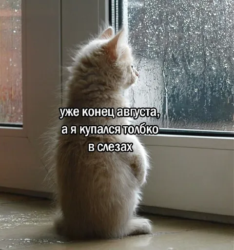 Конец августа в слезах
