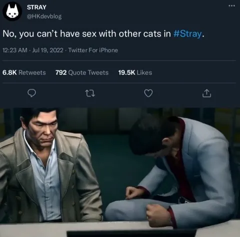 No Sex With Other Cats
