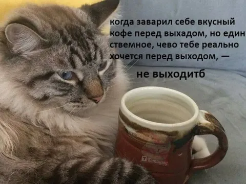 Кофе перед выходом