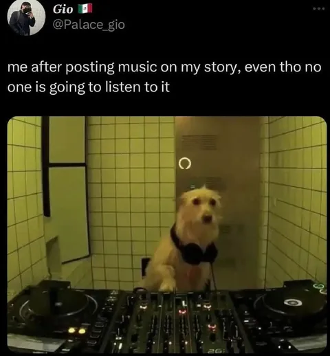 Dog DJ After Posting Music