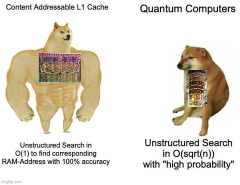 Buff Doge Quantum Computers