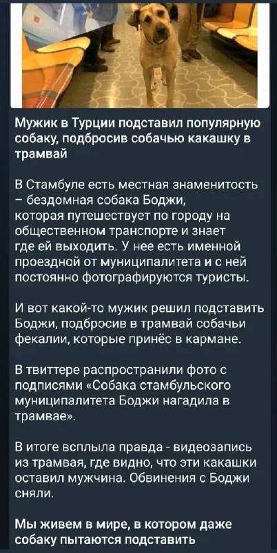 Боджи пытаются подставить в трамвае