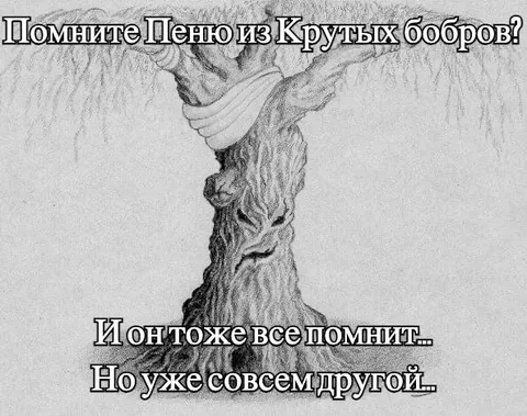 Пеня из Крутых бобров всё помнит