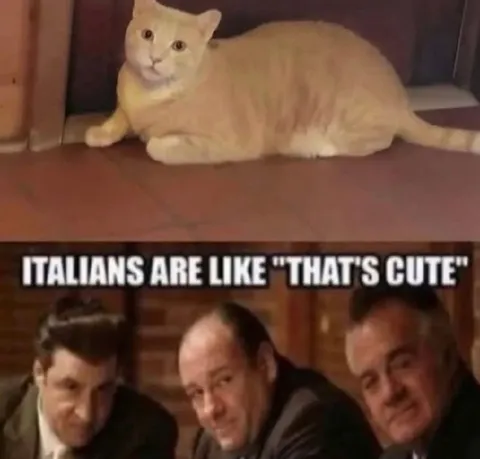 Italians Say That's Cute