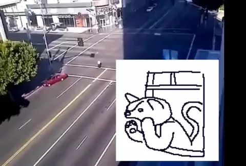 Кот наблюдает за человеком на дороге